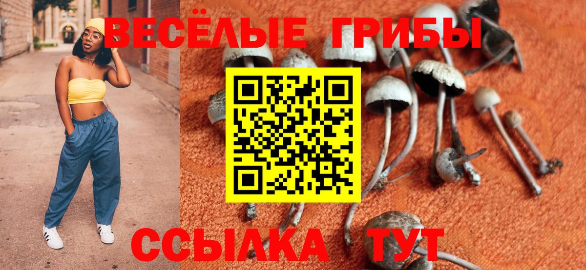 Псилоцибиновые грибы MAGIC MUSHROOMS  Вход с VPN  Брянск 