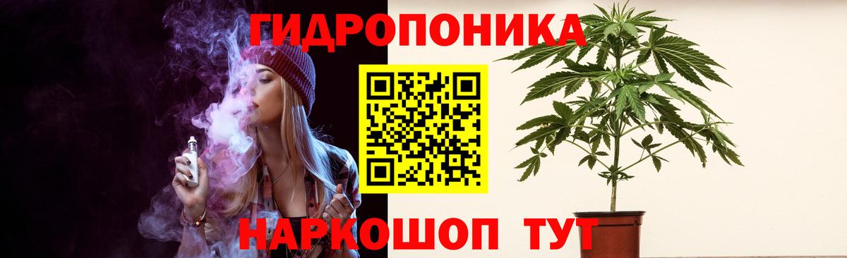 Брянск  Конопля индика  Каннабис Amnesia  Вход с VPN  Канабис конопля 